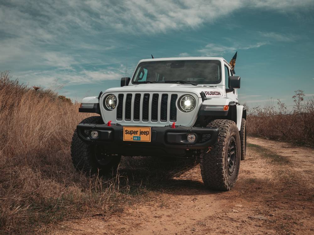 shutterstock_image (3)