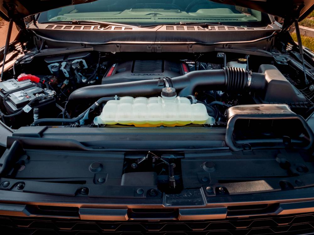 shutterstock_image - 2022-03-27T131143.676