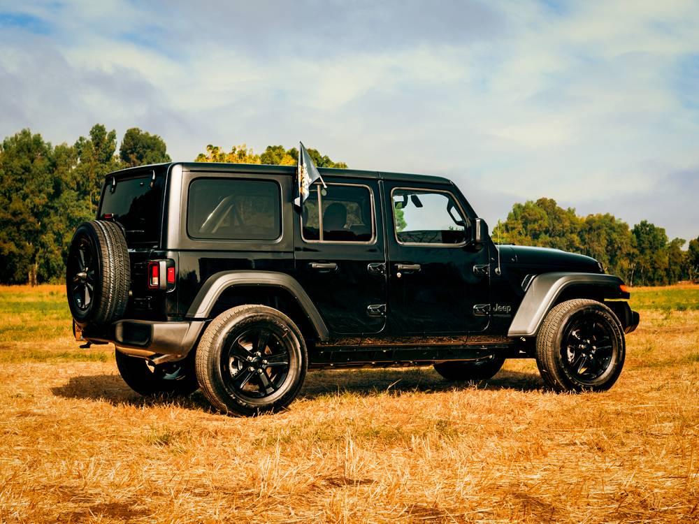 Untitled design (10)