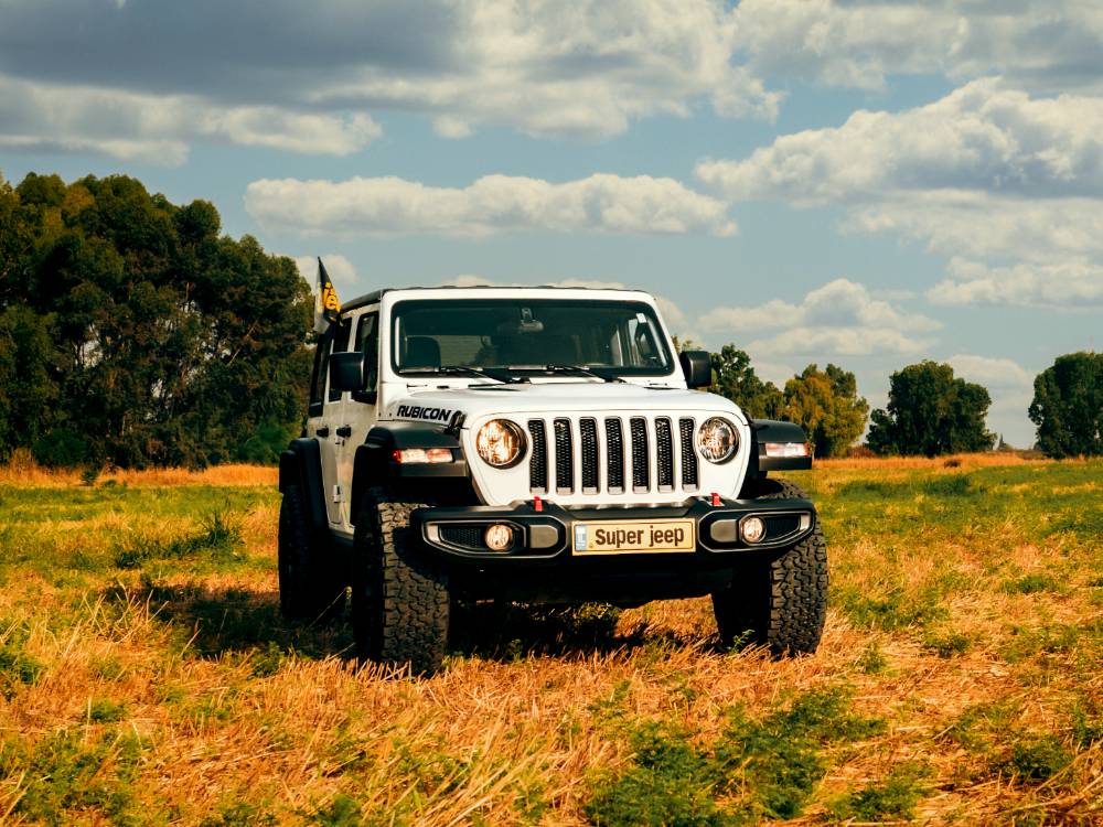 Untitled design (12)