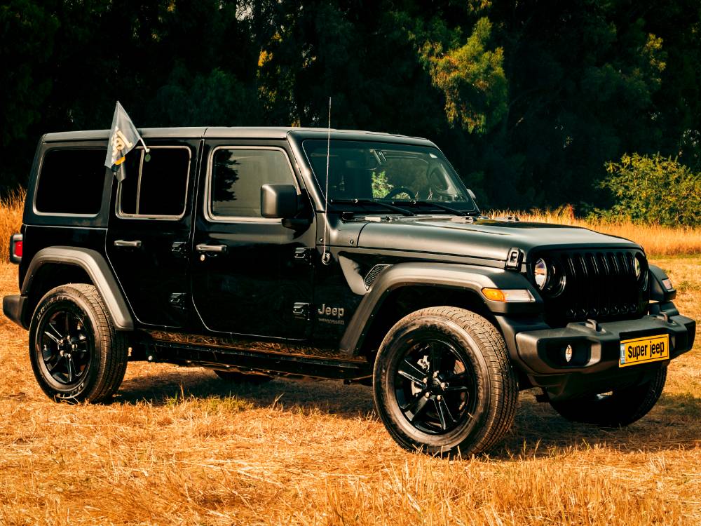 Untitled design (12)