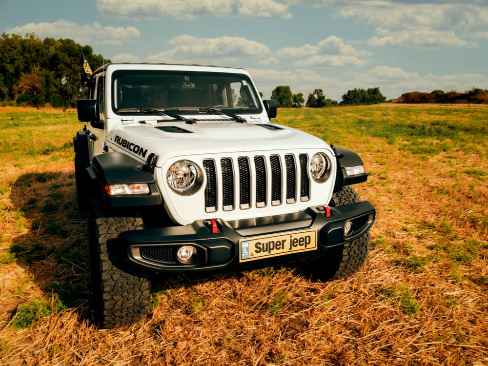 Untitled design (13)