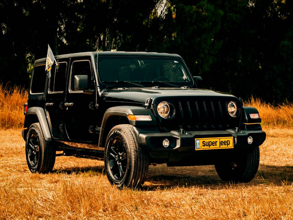 Untitled design (13)