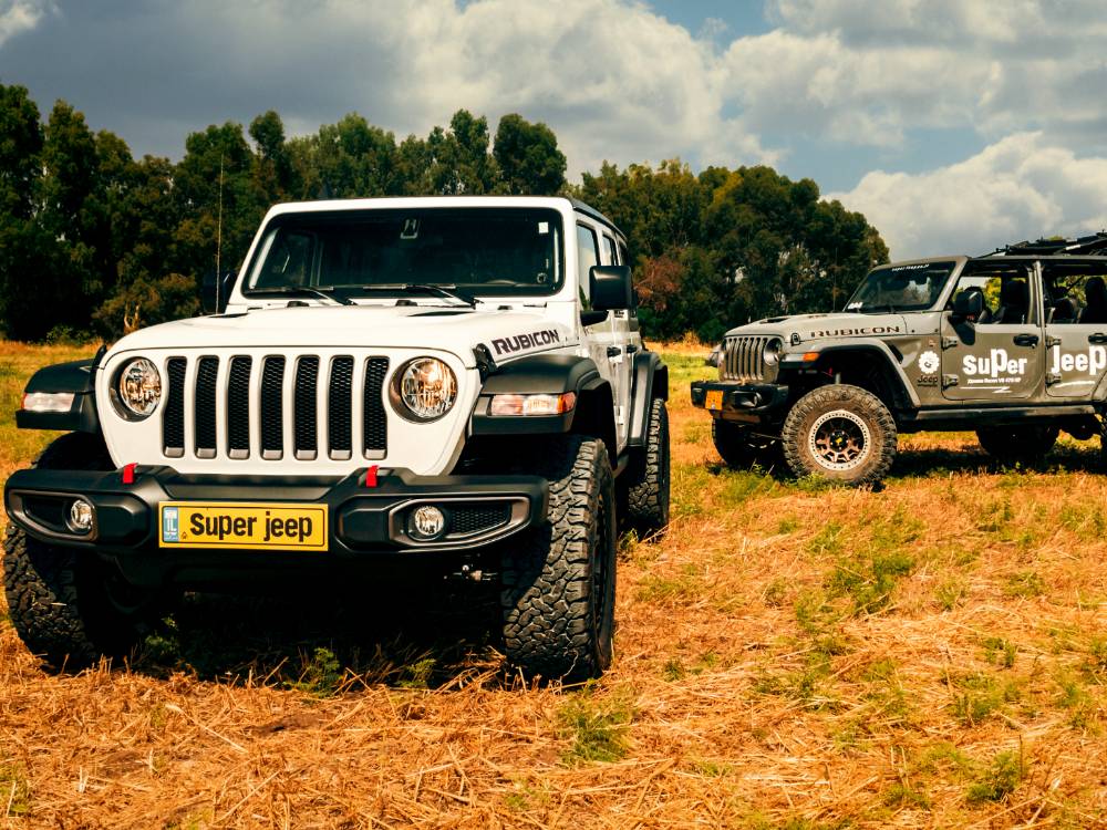 Untitled design (25)