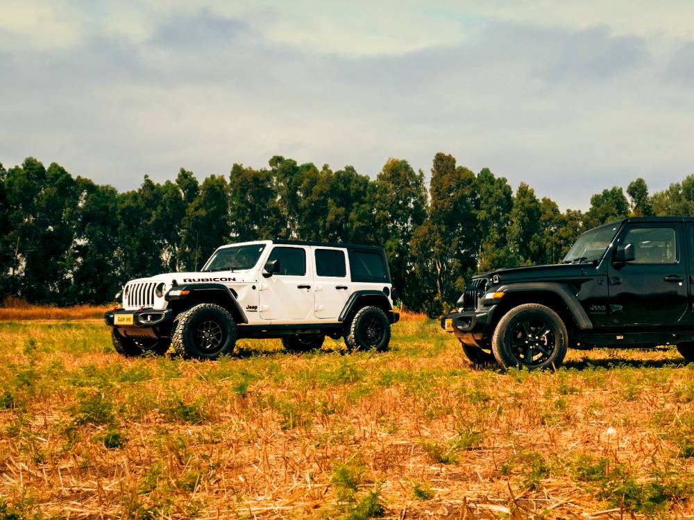 Untitled design (26)