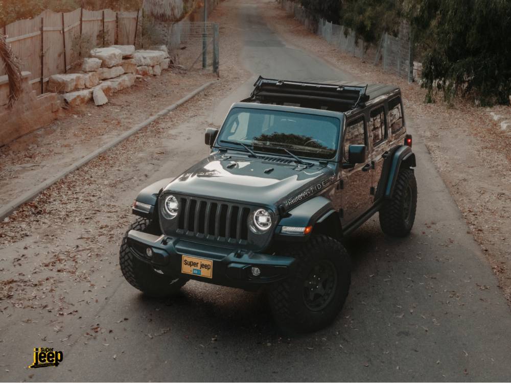 shutterstock_image (83)