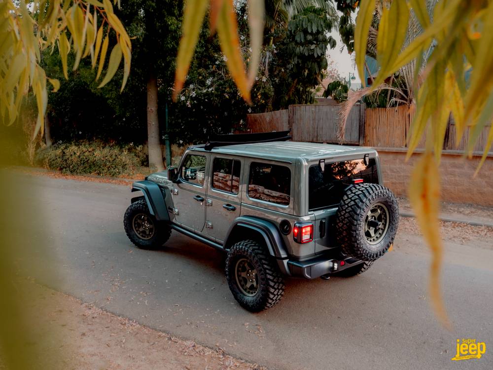 shutterstock_image (89)