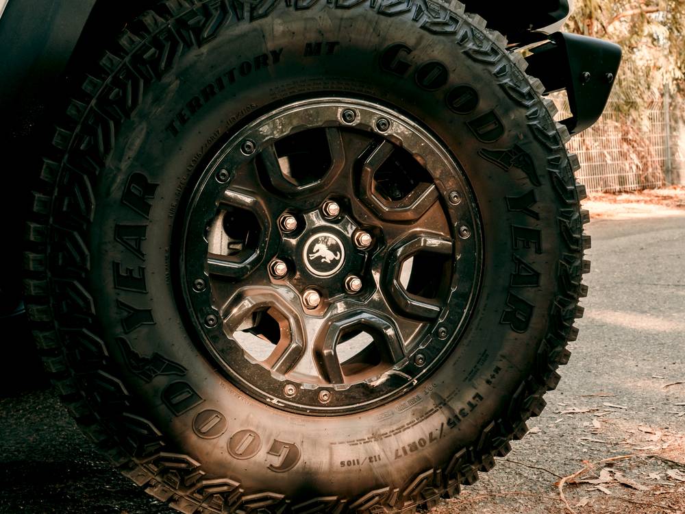 shutterstock_image - 2022-10-02T124329.735