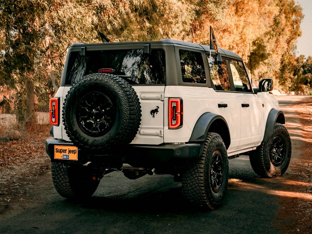 shutterstock_image - 2022-10-02T124414.605