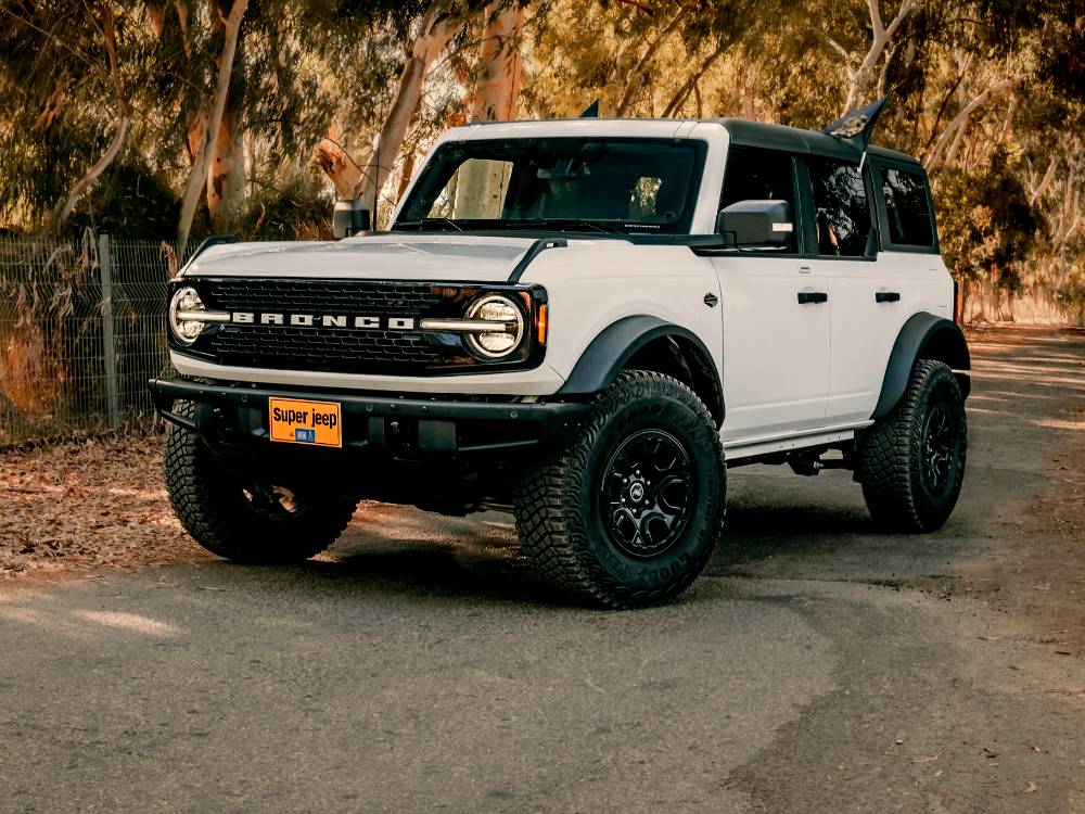 shutterstock_image - 2022-10-02T124931.069