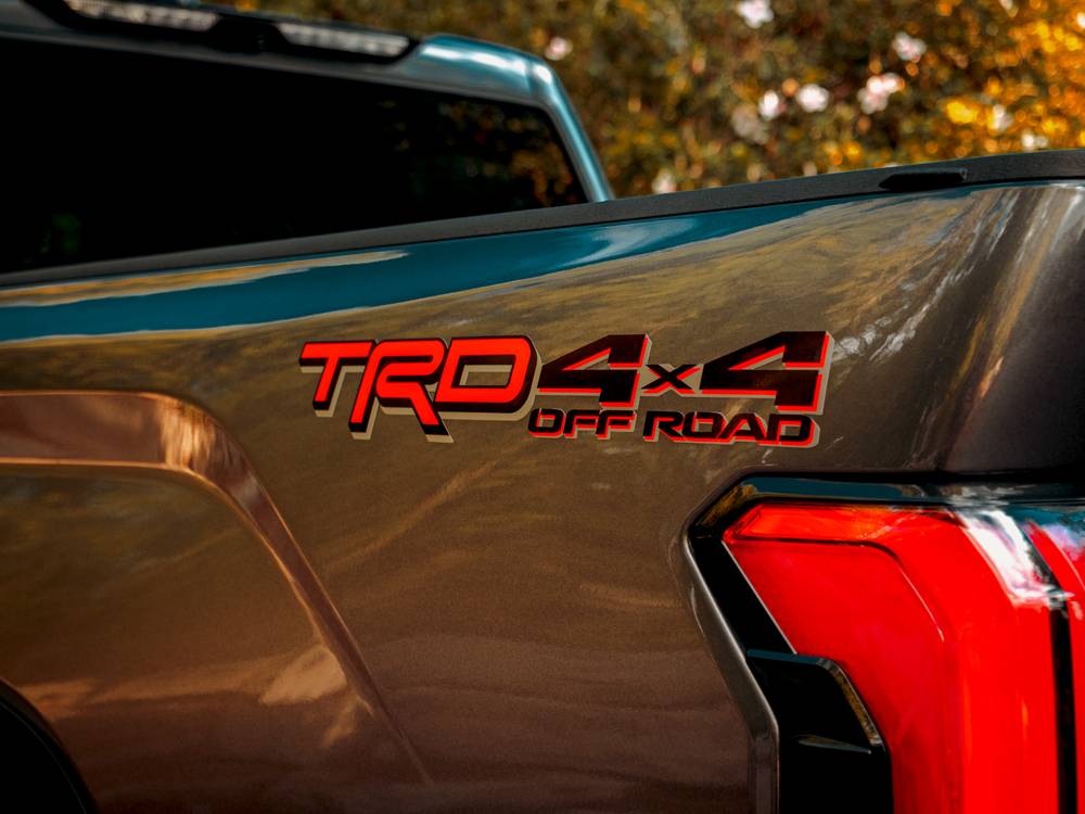 shutterstock_image - 2022-11-15T142835.305