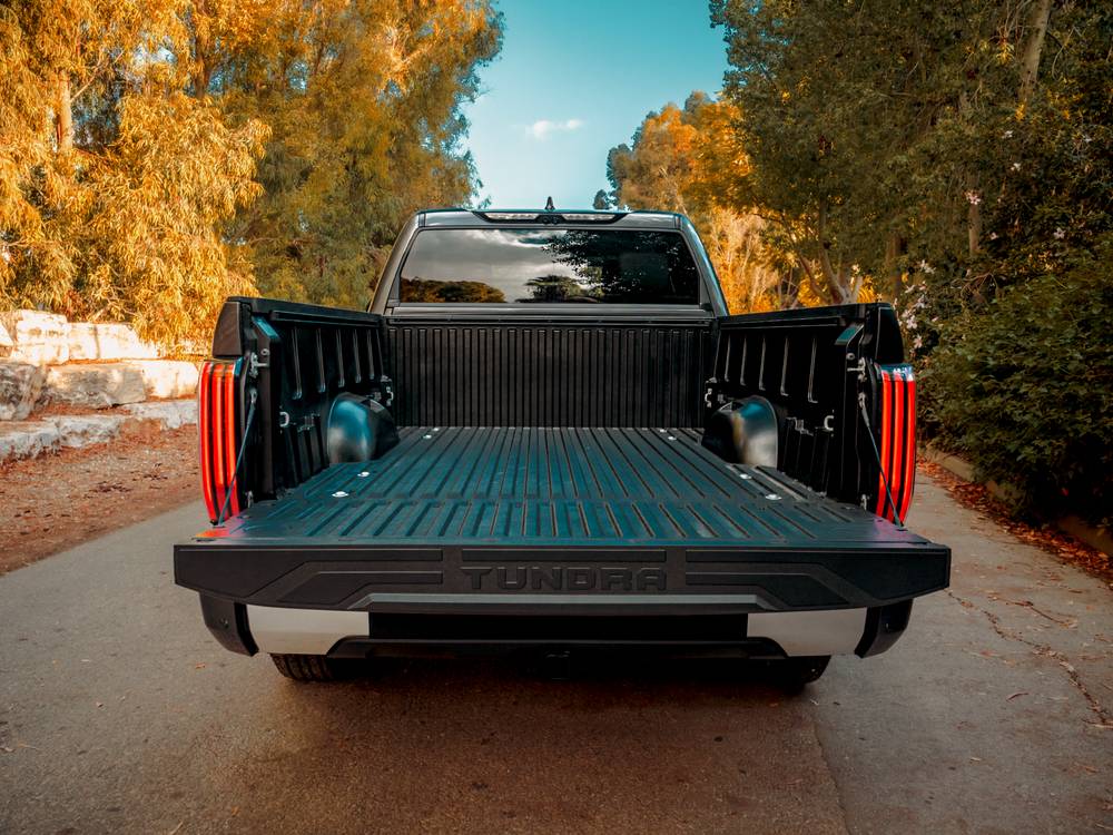 shutterstock_image - 2022-11-15T143214.633