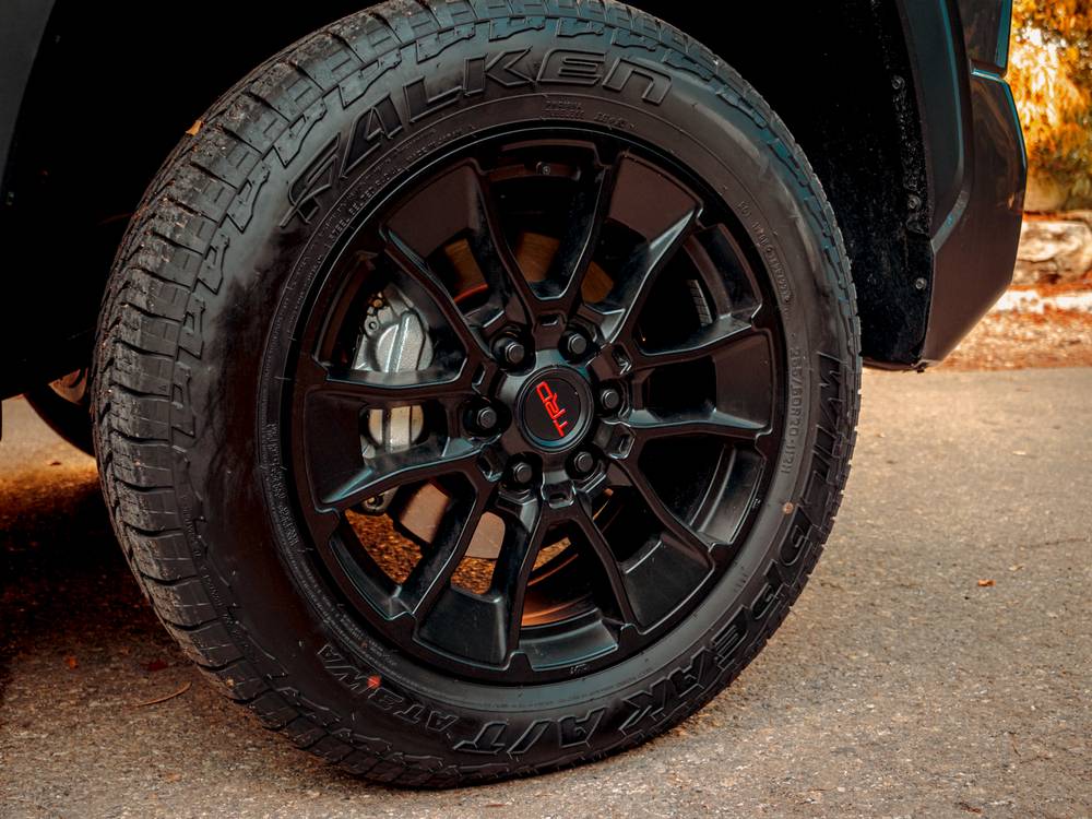 shutterstock_image - 2022-11-15T143351.047