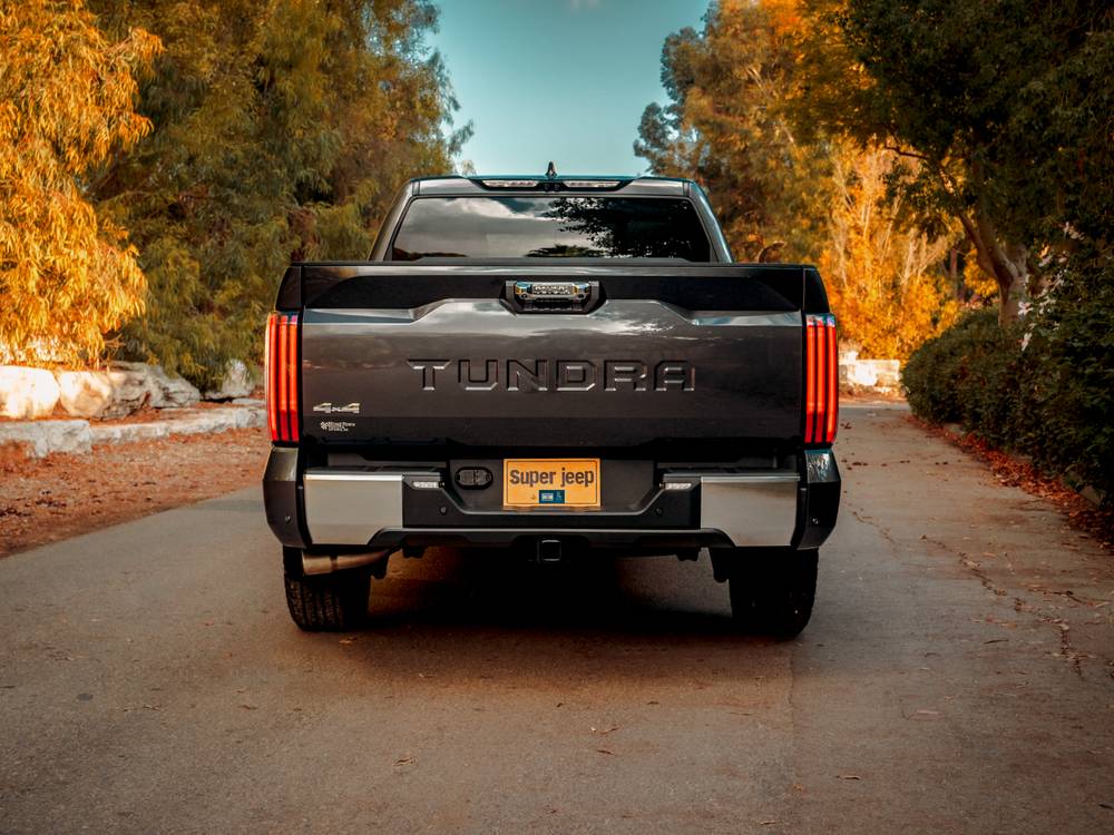 shutterstock_image - 2022-11-15T152642.967