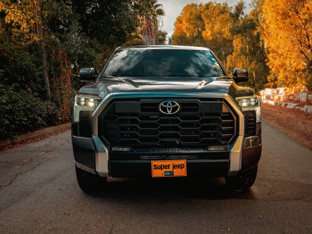 shutterstock_image - 2022-11-15T162251.916