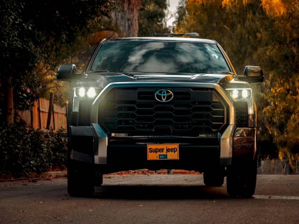 shutterstock_image - 2022-11-15T163123.790