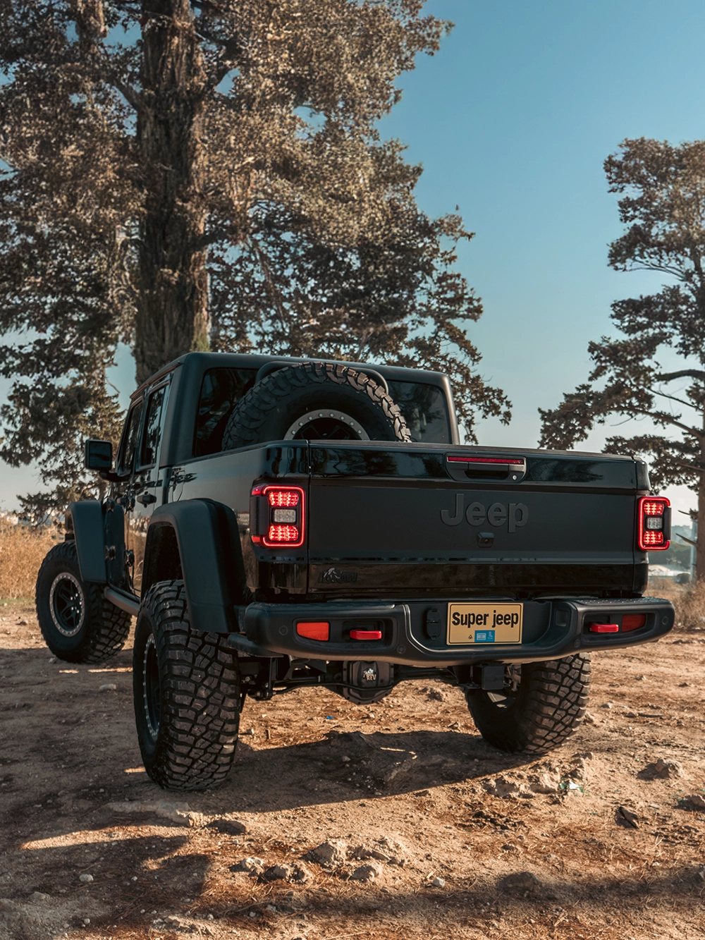 Jeep Gladiator Rubicon AEV - טנדר עבודה - תקריב תקריב ארגז