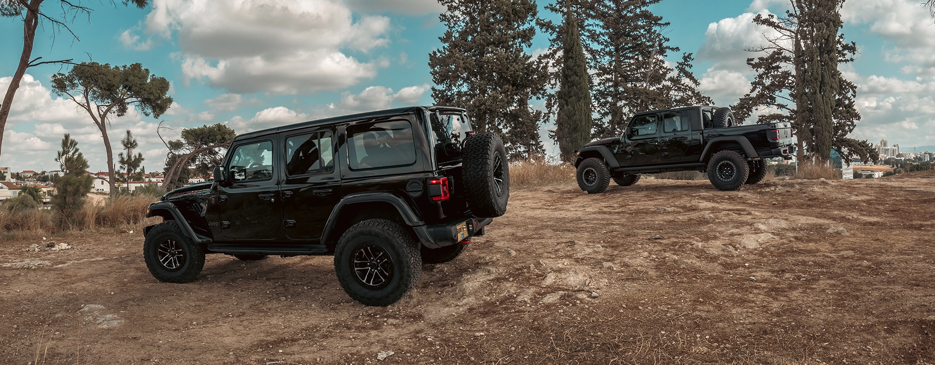 Jeep Wrangler Rubicon X + jeep gladiator aev